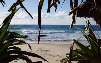 Wategos Beach - 35 min Walk