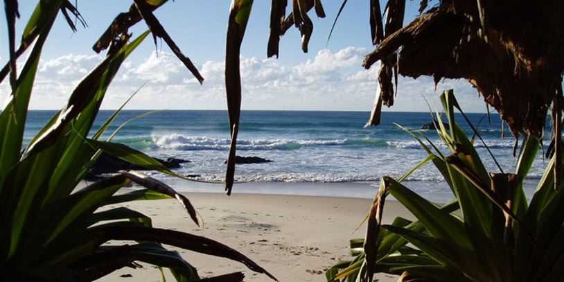 Wategos Beach - 35 min Walk